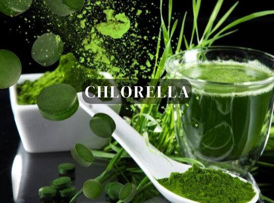 Chlorella bio - Santa Medicina