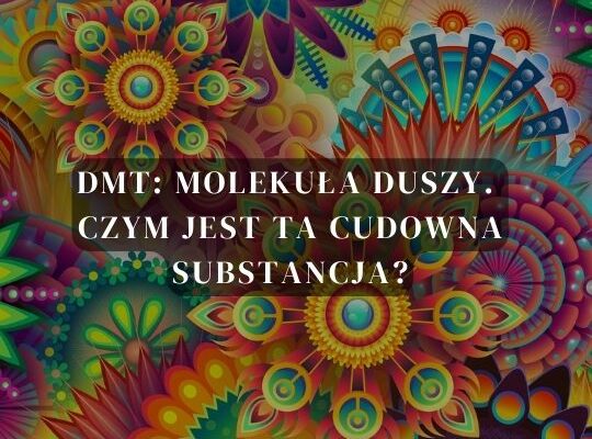 DMT: molekuła duszy. Czym jest ta cudowna substancja?