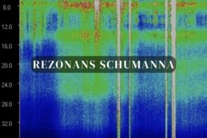 Rezonans Schumanna Online - SantaMedicina by Mateusz Pruszowski