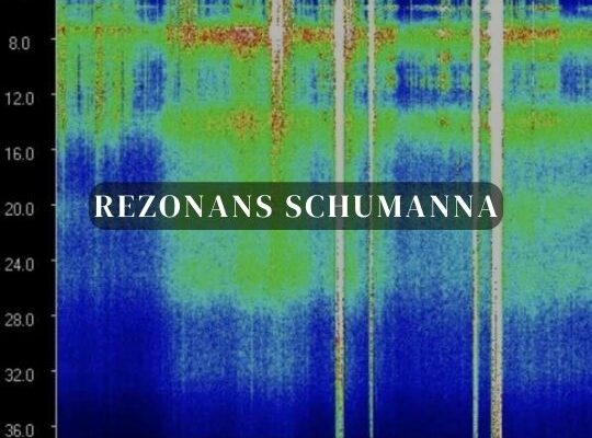 Rezonans Schumanna Online - SantaMedicina by Mateusz Pruszowski