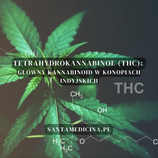 Тетрагидроканнабинол (ТГК): основной каннабиноид в каннабисе.