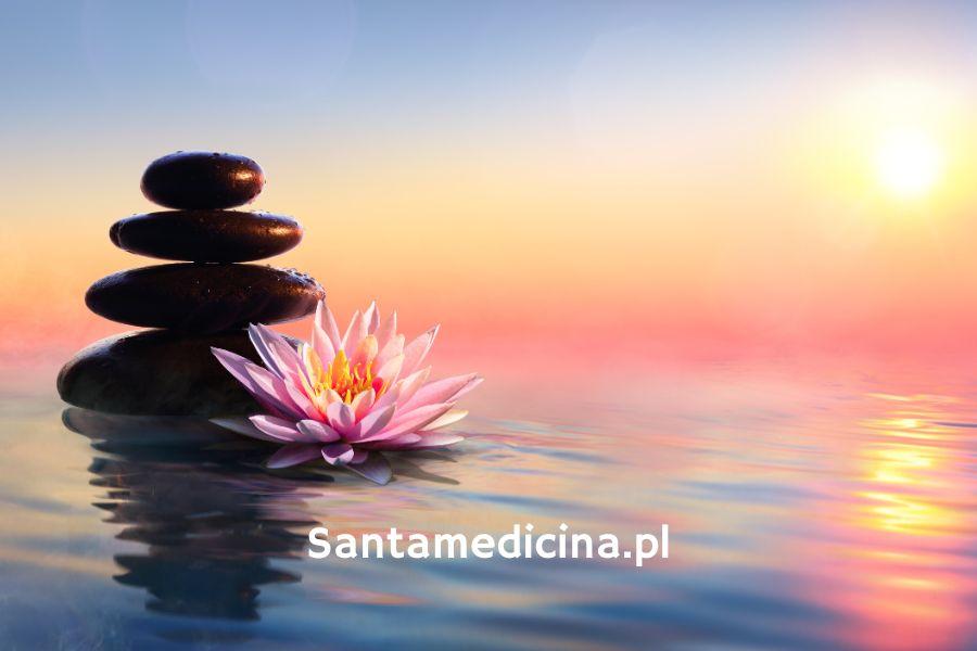 SANTA MEDICINA MEDITATION