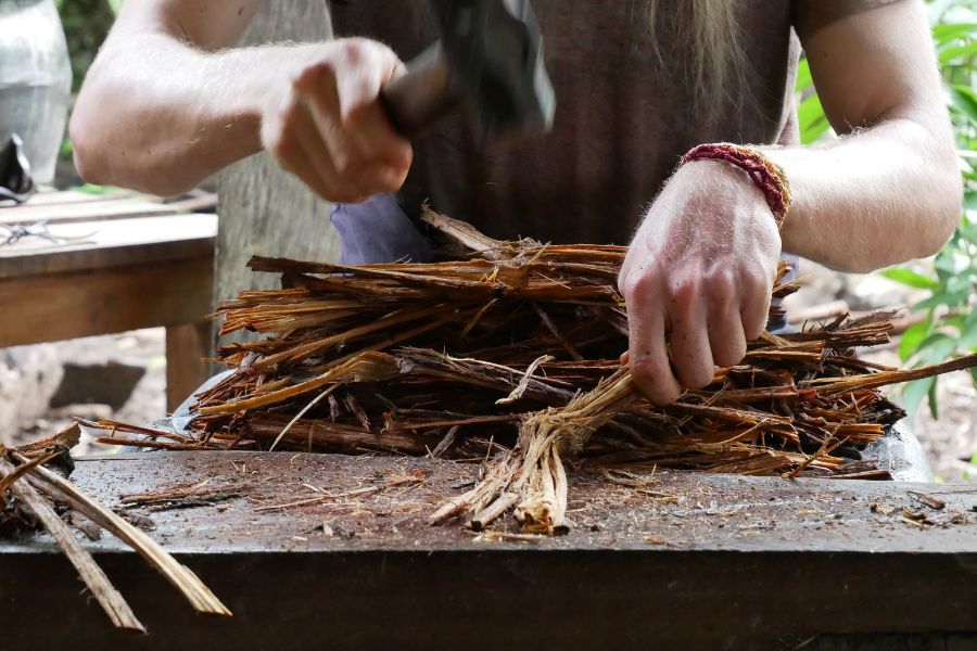 Ceremonia Ayahuasca Santamedicina