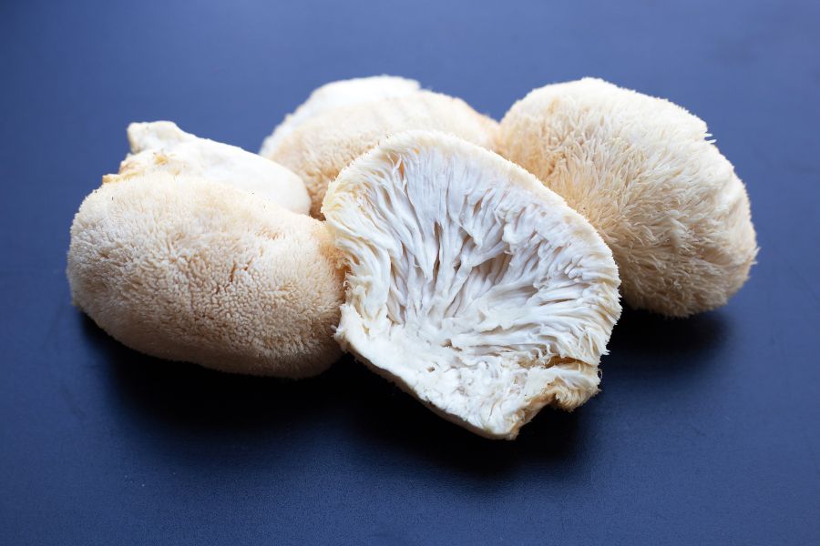 Soplówka jeżowata (Lion’s Mane) Santamedicina