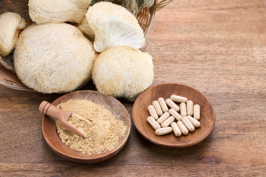 Soplówka jeżowata (Lion’s Mane) Santamedicina