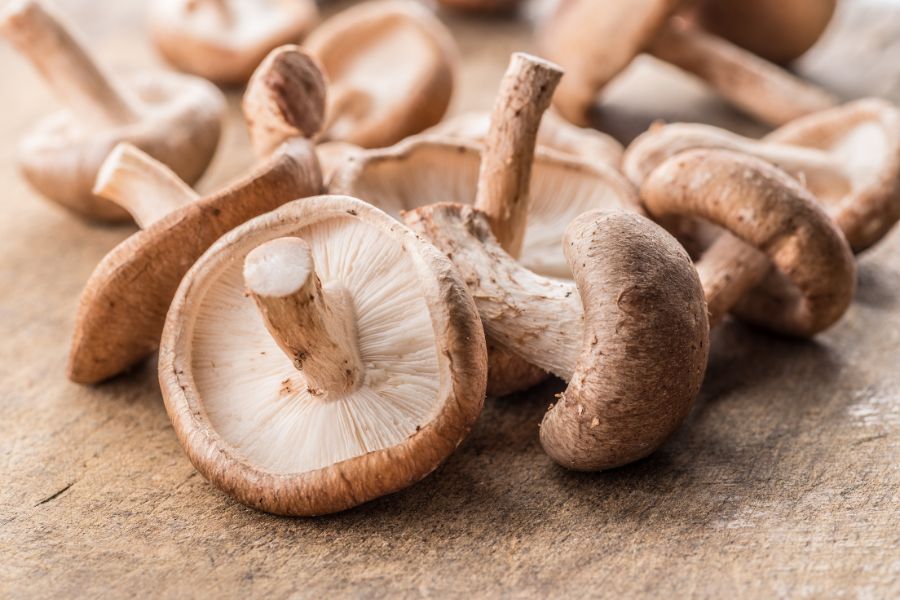 Shiitake (Twardnik japoński) – właściwości zdrowotne, działanie, zastosowanie i dawkowanie ekstraktu Santamedicina