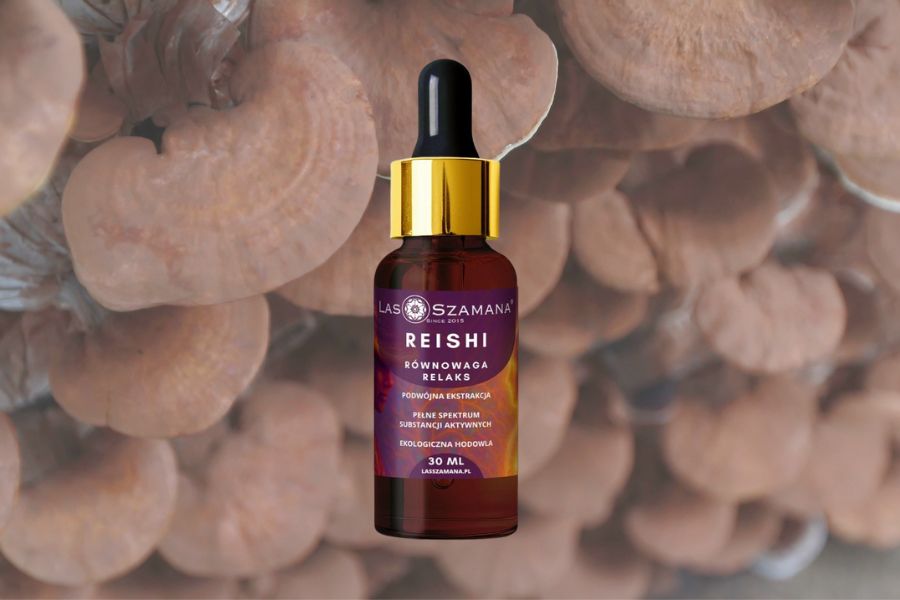 Reishi (Ganoderma lucidum) – grzyb długowieczności dla równowagi i relaksu Santamedicina