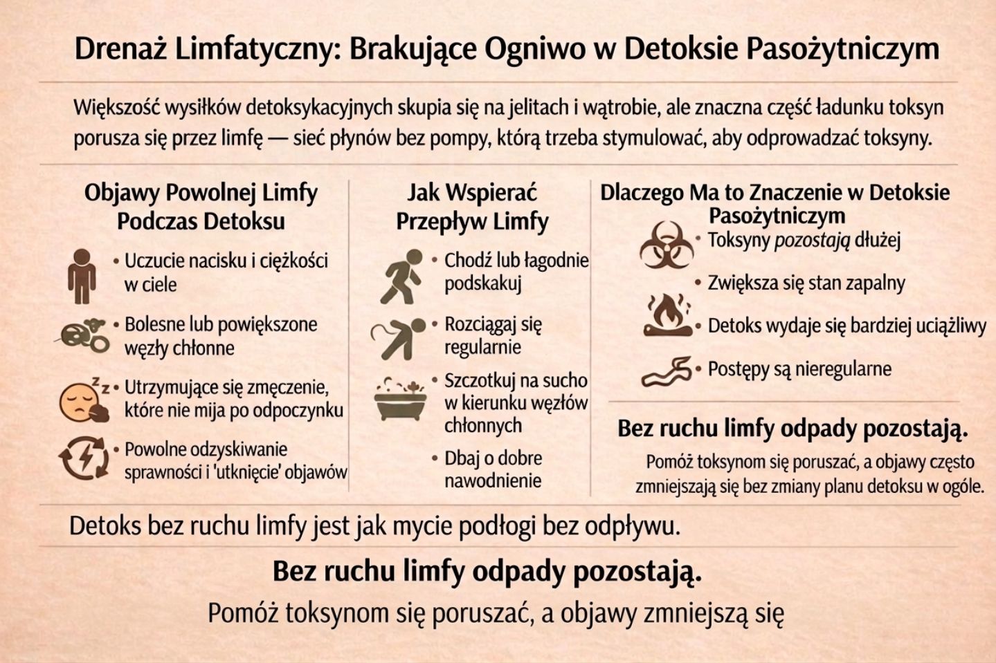 Protokół Oczyszczania Organizmu