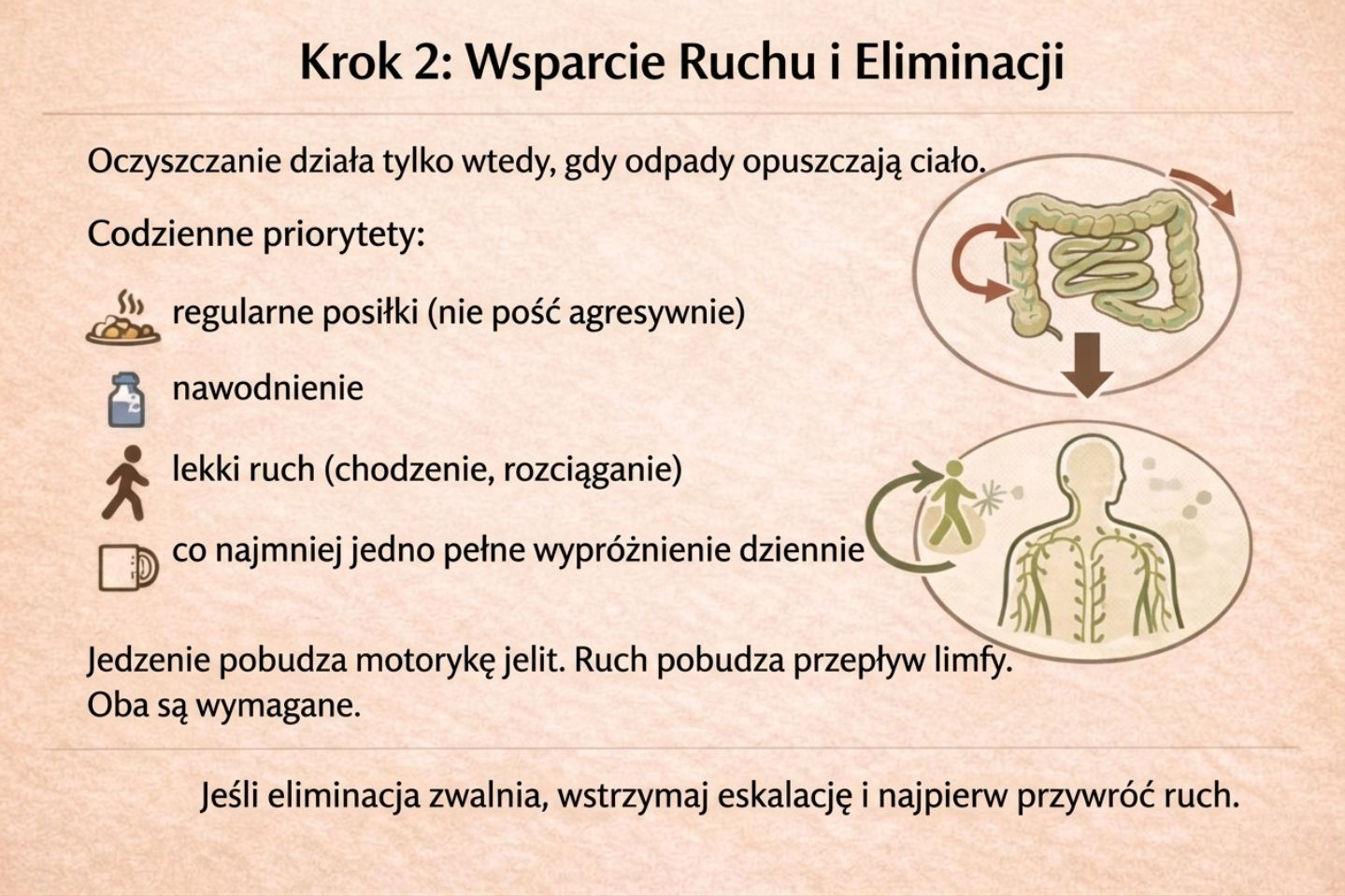 Protokół Oczyszczania Organizmu