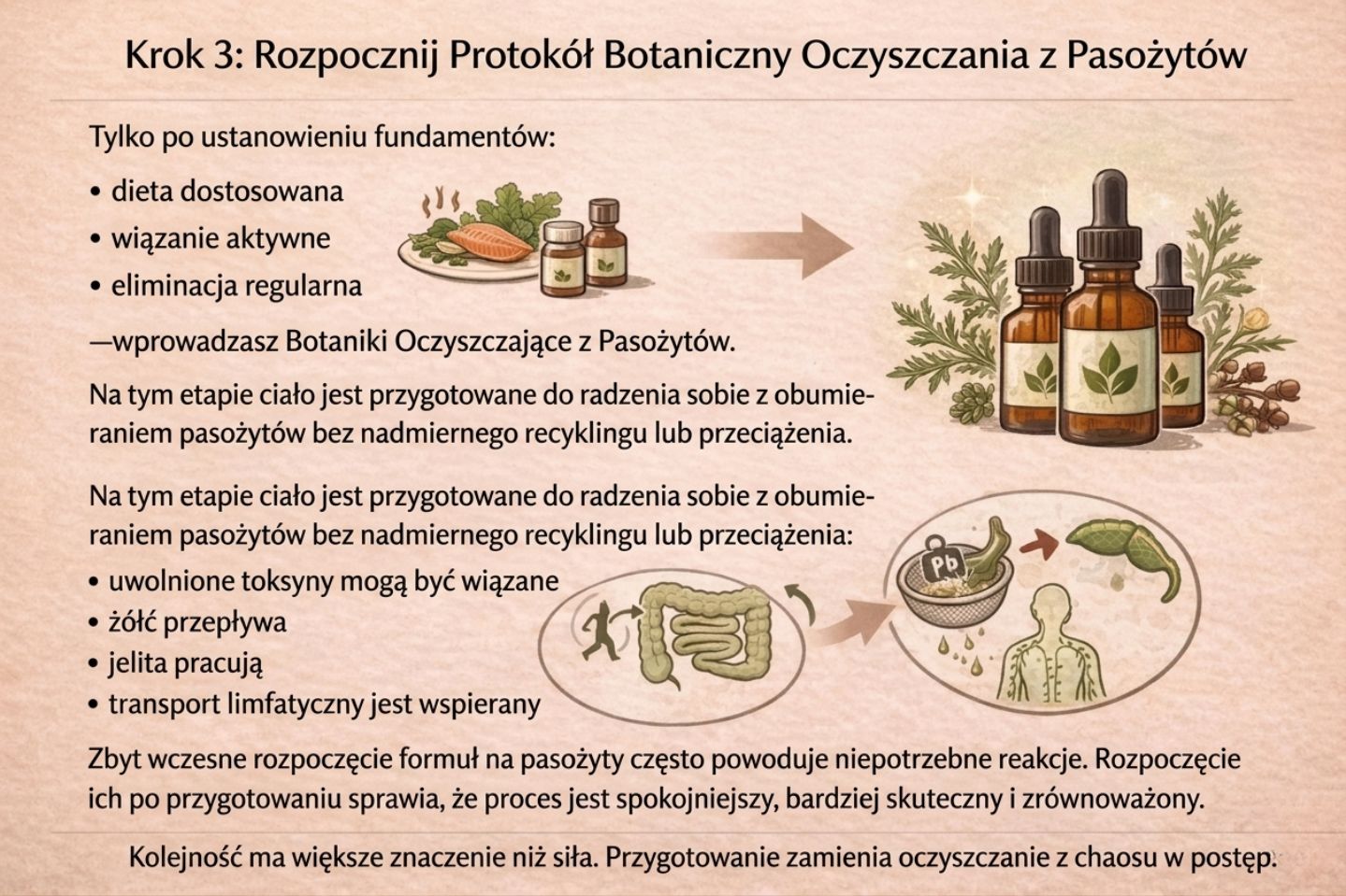 Protokół Oczyszczania Organizmu