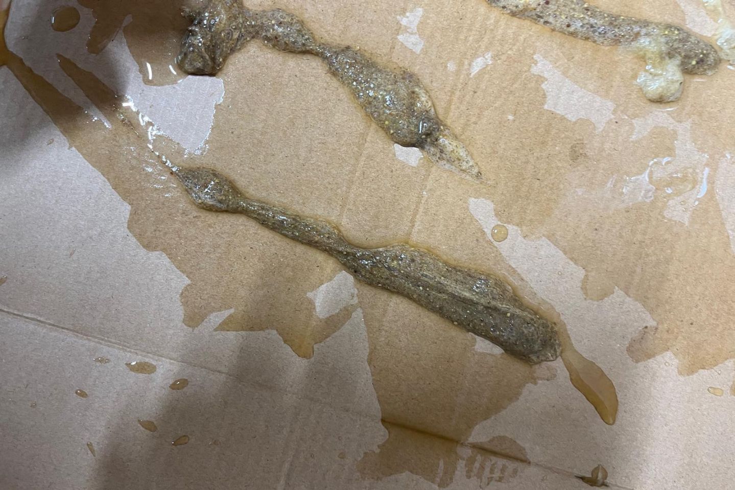 Protokół Oczyszczania Organizmu