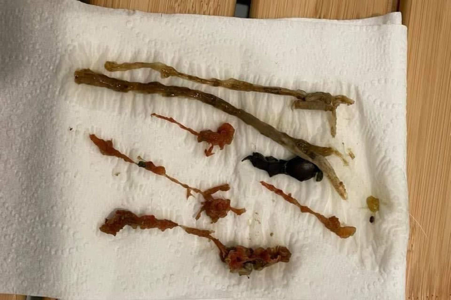 Protokół Oczyszczania Organizmu