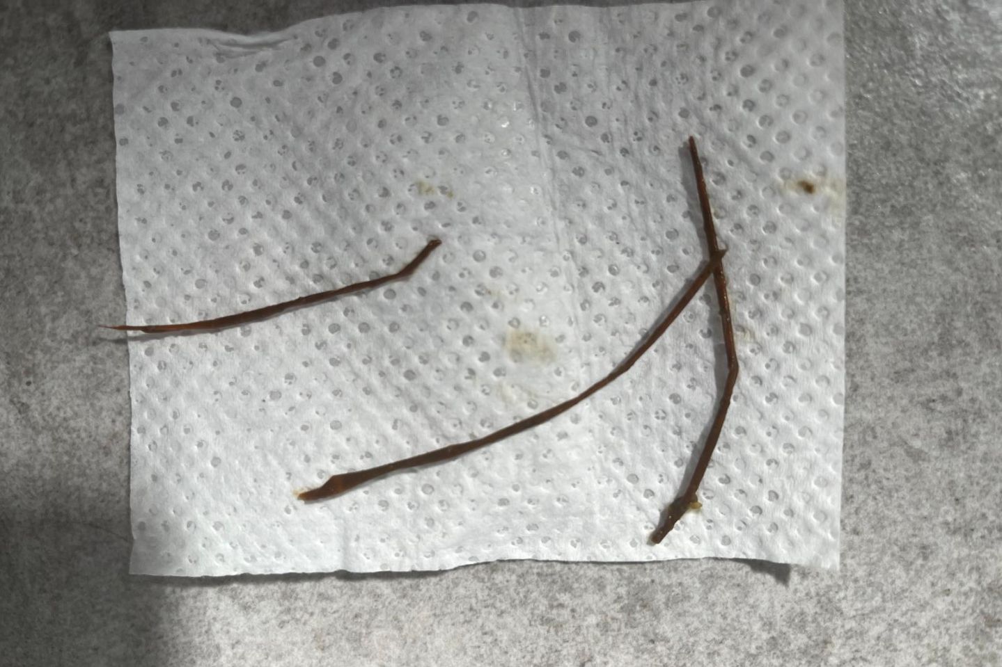 Protokół Oczyszczania Organizmu