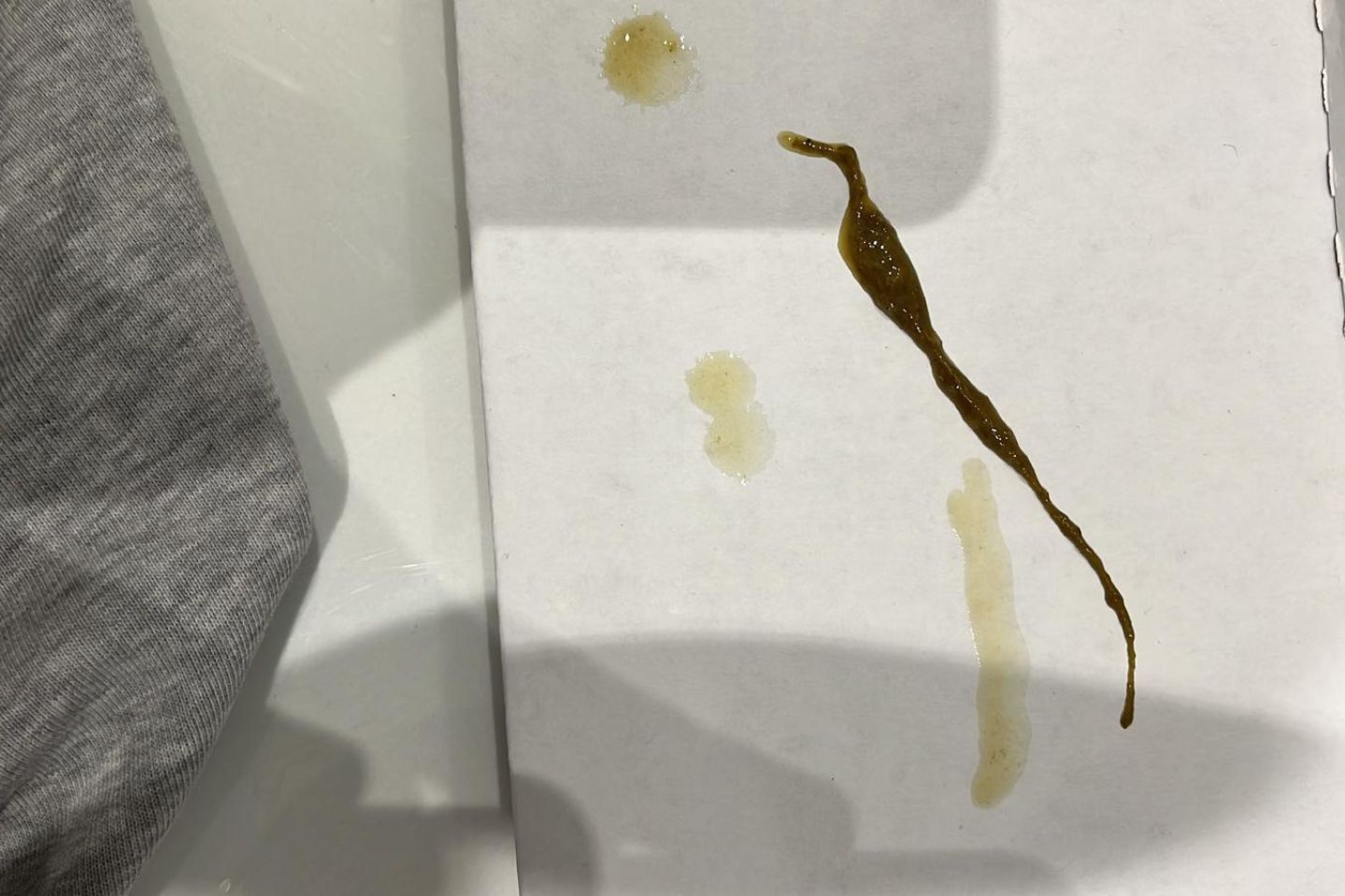 Protokół Oczyszczania Organizmu